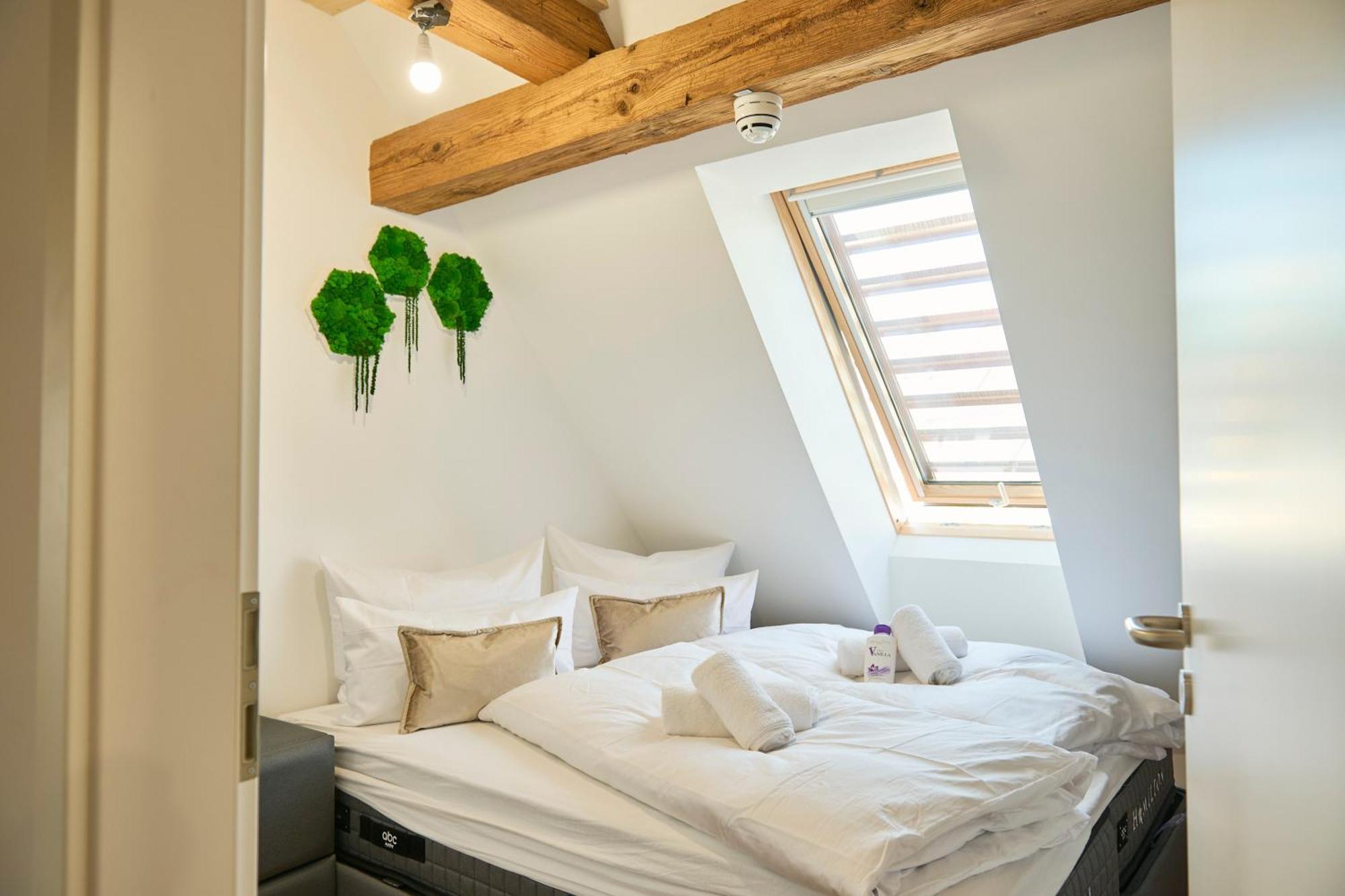 Wood World Luxury - Massage - Bergblick - Tranpolin- Parken Lejlighed Markdorf Eksteriør billede