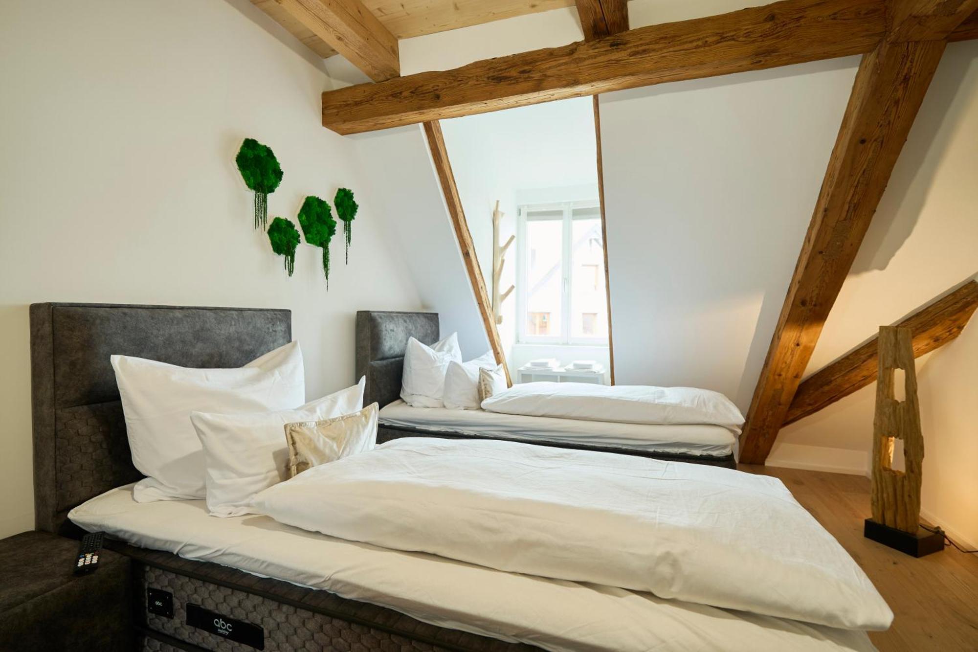 Wood World Luxury - Massage - Bergblick - Tranpolin- Parken Lejlighed Markdorf Eksteriør billede
