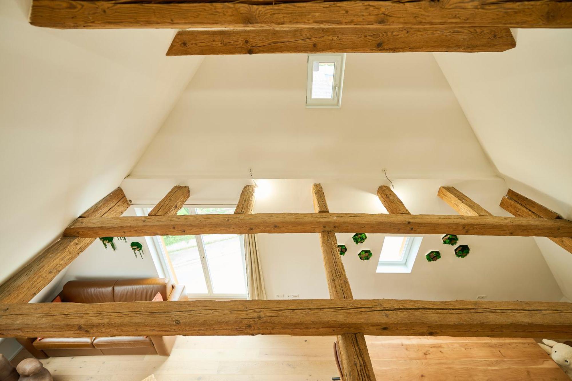 Wood World Luxury - Massage - Bergblick - Tranpolin- Parken Lejlighed Markdorf Eksteriør billede
